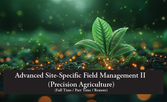 Site-Specific Field Management II (Precision Agriculture)
